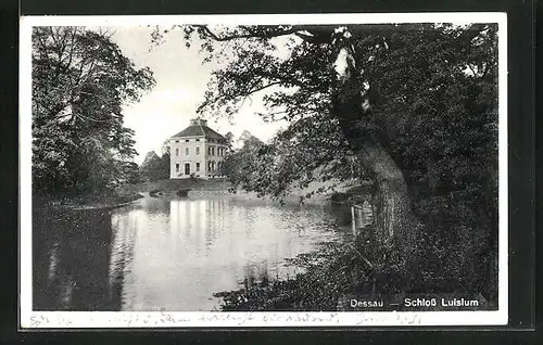 AK Dessau, Schloss Luisium