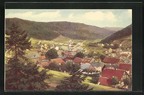 AK Kammerberg-Manebach, Gesamtansicht mit Berglandschaft