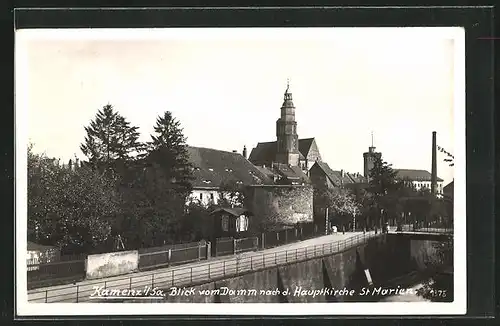 AK Kamenz i. Sa., Blick vom Damm auf die Hauptkirche St. Marien