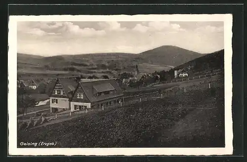 AK Geising /Erzgeb., Blick auf das Dorf