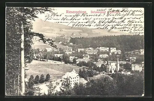AK Johannisbad / Janske Lazne, Panorama, Panorama mit Kirche