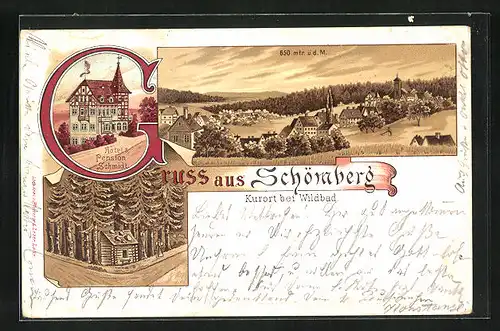 Lithographie Schömberg, Hotel u. Pension Schmidt, Haus im Wald, Panorama