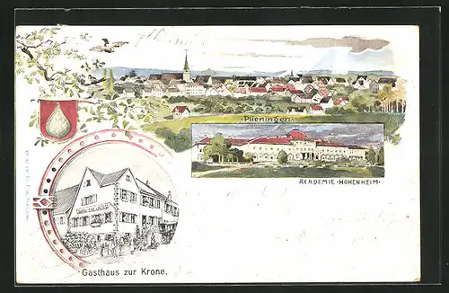 Künstler-AK Plieningen, Gasthaus zur Krone, Akademie Hohenheim, Panorama