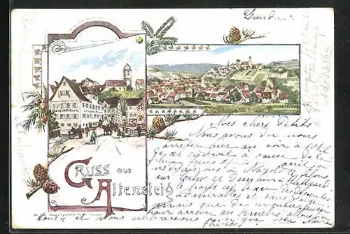 Lithographie Altensteig, Strassenpartie am Gasthof zum Waldhorn, Ortsansicht