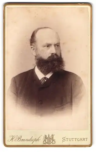 Fotografie H. Brandseph, Stuttgart, Marienstrasse 36, Älterer Herr mit vollem Bart und bürgerlicher Kleidung