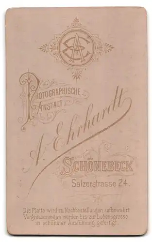 Fotografie A. Ehrhardt, Schönebeck, Salzerstrasse 24, Junge Dame mit Kragenbrosche