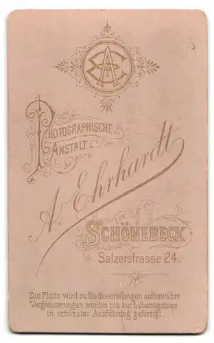 Fotografie A. Ehrhardt, Schönebeck, Salzerstrasse 24, Ältere Dame mit Haube