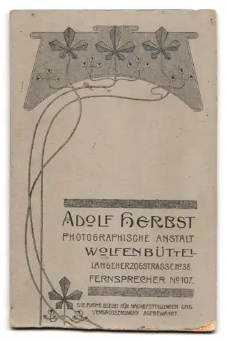 Fotografie Adolf Herbst, Wolfenbüttel, Langeherzogstrasse 38, Junge Dame mit zurückgebundenem Haar