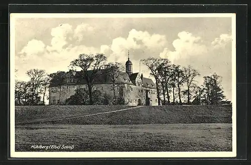 AK Mühlberg /Elbe, Schloss im Frühjahr