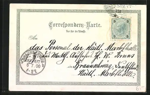 Lithographie Karlsbad, Sprudel-Springer mit Schaulustigen