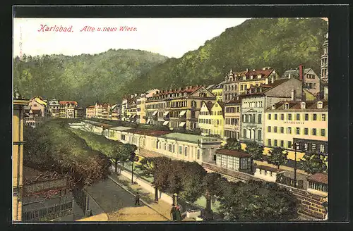 AK Karlsbad, Alte und Neue Wiese