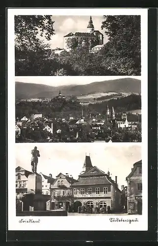 AK Friedland / Frydlant, Hotel zum schwarzen Adler, Schloss, Panorama