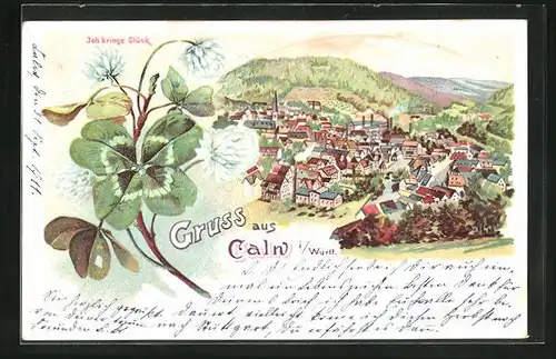 Lithographie Calw i. Württ. Blühendes Kleeblatt, Totalansicht