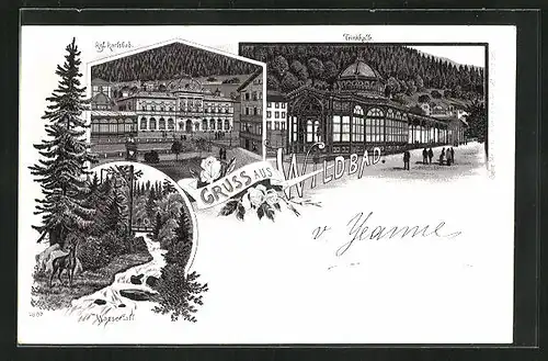 Lithographie Wildbad, Restaurant Trinkhalle, Kgl. Karlsbad, Wasserfall