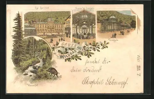 Lithographie Wildbad, Wildschwein am Wasserfall, Trinkhalle, Kgl. Karlsbad