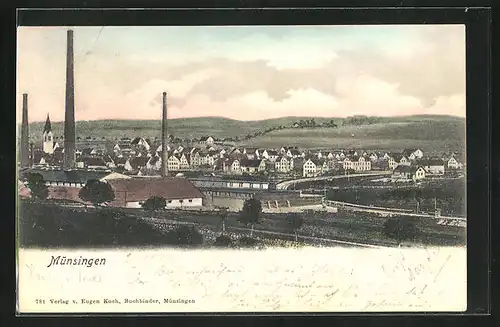 AK Münsingen, Panorama mit Schornsteinen