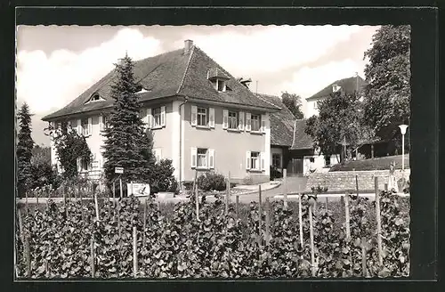 AK Hagnau /Bodensee, Landhaus Kress