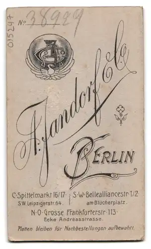 Fotografie A. Jandorf & Co., Berlin-C., Spittelmarkt 16-17, Junge Dame im Kleid