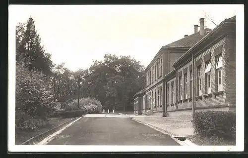 AK Milowitz / Milovice, Strasse im Truppenübungsplatz