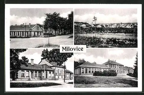 AK Milowitz / Milovice, Celkový pohled, Wohnhäuser