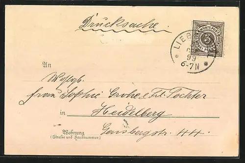 Lithographie Liebenzell, Oberes Bad v. Wilh. Deker, Totalansicht mit Burg