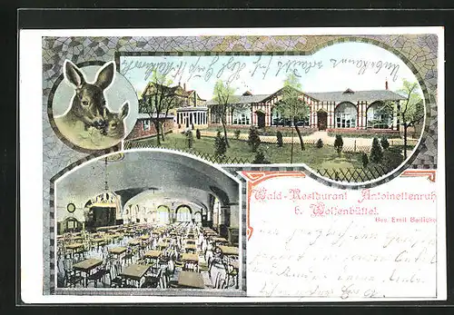 AK Wolfenbüttel, Wald-Restaurant Antoinettenruh, Reh