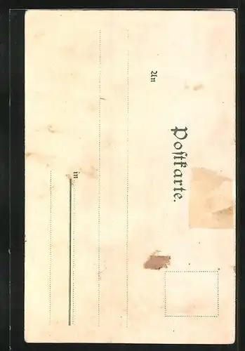 Lithographie Konstanz, Conciliumsgebäude, Schloss, Ortsansicht von der Seestrasse