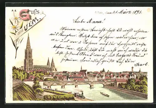 Lithographie Ulm, Panorama mit Münster