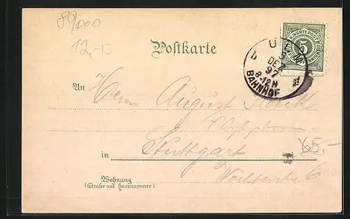 Lithographie Ulm, Münster von Osten, Totalansicht mit Neuulm