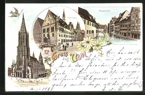 Lithographie Ulm, Münster, Rathaus, Blauansicht