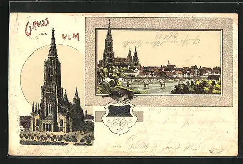 Lithographie Ulm, Münster, Panorama mit Brücke