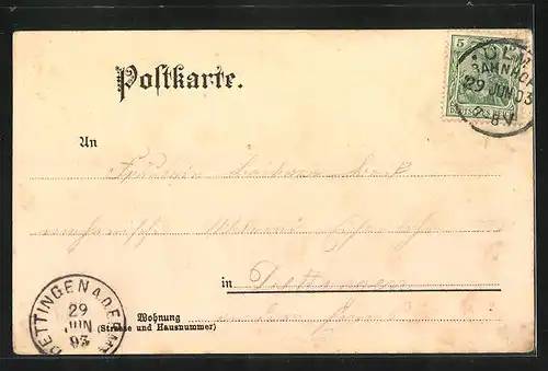 Lithographie Ulm, Münster, Panorama mit Brücke