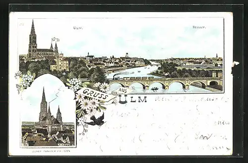 Lithographie Ulm, Münster von Osten, Totalansicht