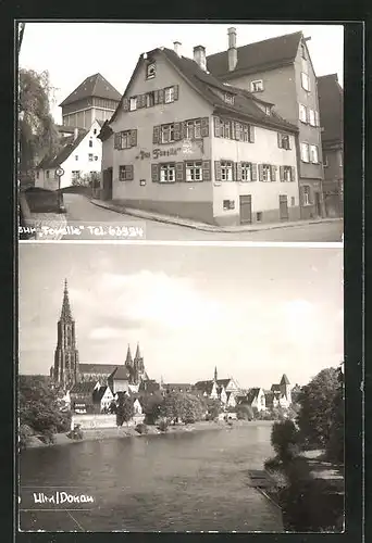 AK Ulm /Donau, Gasthaus zur Forelle und Donaupartie mit Dom