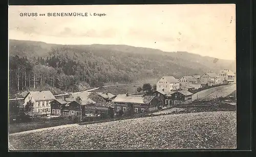 AK Bienenmühle i. Erzgeb., Teilansicht vom Feld aus