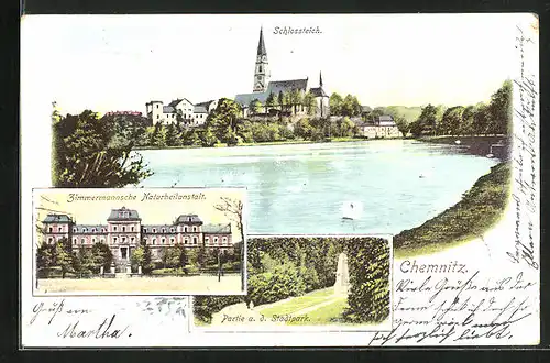 AK Chemnitz, Schlossteich, Zimmermannsche Naturheilanstalt