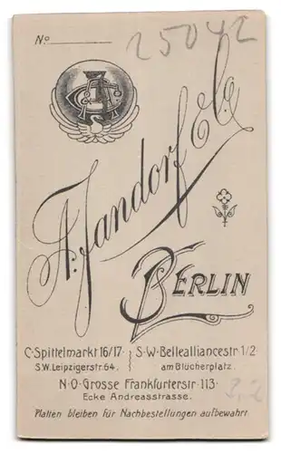 Fotografie A. Jandorf & Co., Berlin-C. Spittelmarkt 16-17, Bürgerliche Dame mit zurückgebundenem Haar