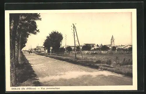 AK Dolus-Ile d`Oléron, Vue panoramique