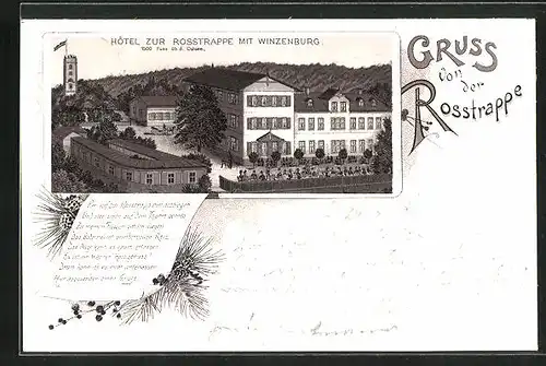 Lithographie Thale, Hôtel zur Rosstrappe mit Winzenburg