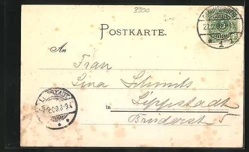 Lithographie Braunschweig, Gasthaus Alte Waage mit Litfasssäule, Andreas-Kirche