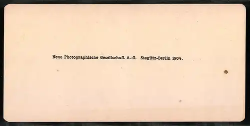 Stereo-Fotografie NPG, Berlin, Ansicht Firenze, Gil Uffizi e Palazzo vecchio