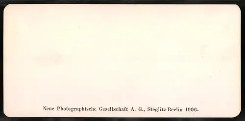 Stereo-Fotografie NPG, Berlin, Ansicht Firenze, Palazzo Uffizi: Corridore di levante