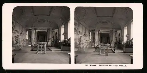 Stereo-Fotografie NPG, Berlin, Ansicht Roma, Vaticano, Sala degli animali