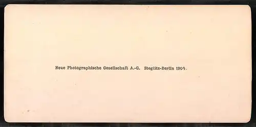 Stereo-Fotografie NPG, Berlin, Ansicht Roma, Porta Pinciana