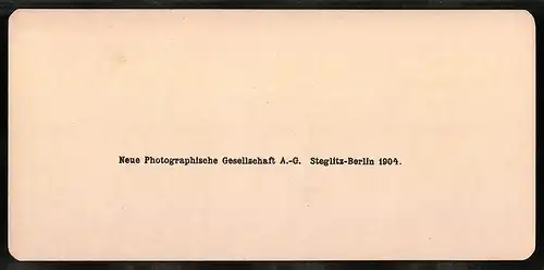 Stereo-Fotografie NPG, Berlin, Ansicht Roma, Palatino, Palazzo d`Augusto Stadio