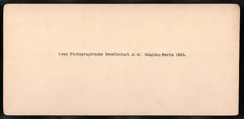 Stereo-Fotografie NPG, Berlin, Ansicht Wien, Blick auf die Leopoldsbrücke