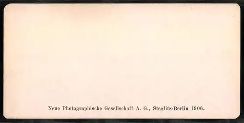 Stereo-Fotografie NPG, Berlin, Ansicht Roma, Palatino, Belvedere del Temio di Settimo Severo