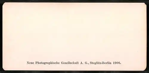 Stereo-Fotografie NPG, Berlin, Ansicht Roma, S. Giovanni Laterano, facciata settentrionale