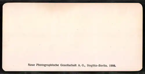 Stereo-Fotografie NPG, Berlin, Ansicht Roma, Le Terme di Carscallo, palestra del gladiatori