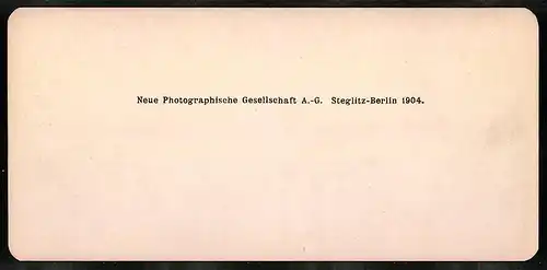 Stereo-Fotografie NPG, Berlin, Ansicht Roma, Tempio di Minerva Media, Pferdekutsche